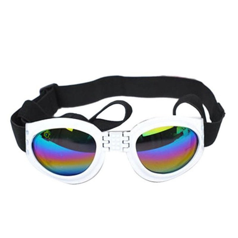 Dog Sunglasses