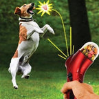 Dog leaping to catch a treat fired from the launcher