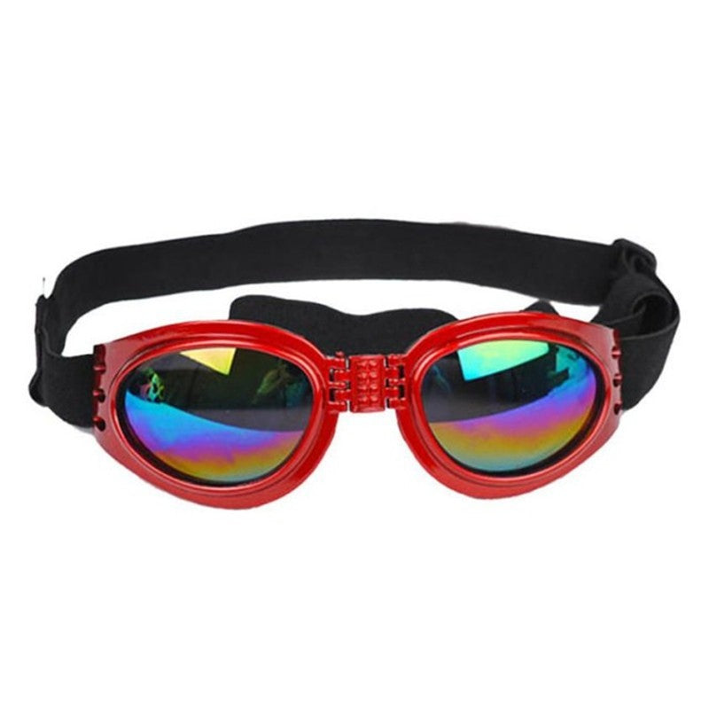 Dog Sunglasses