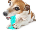 Suction Cup Chew Toothbrush Toy for Dogs